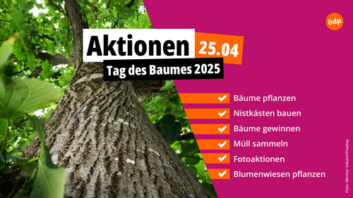 Aktionen zum Tag des Baumes 2025 - Foto: Mentor Sabani/Pixabay